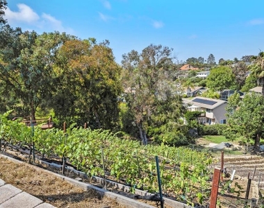 1020 Nolbey St - Photo Thumbnail 29
