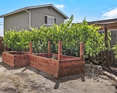 1020 Nolbey St - Photo Thumbnail 32
