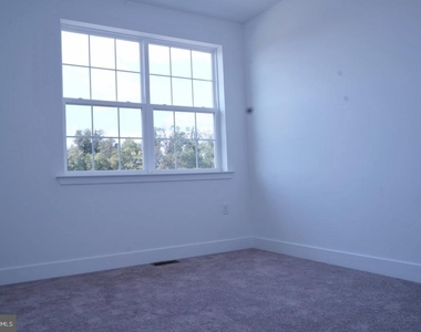 328 Cora Bergen - Photo Thumbnail 30