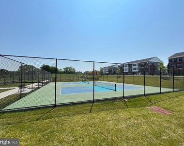 328 Cora Bergen - Photo Thumbnail 15