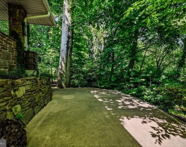 10 Beech Avenue - Photo Thumbnail 38