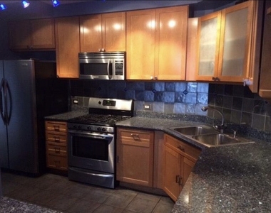 3200 N Lake Shore Drive - Photo Thumbnail 4