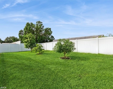 317 Majesty Drive - Photo Thumbnail 29