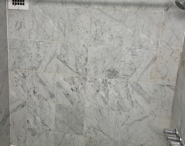 East 71st Street - Photo Thumbnail 5