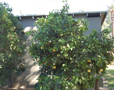 4162 Chestnut Street - Photo Thumbnail 7