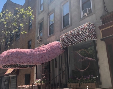 330 E 76th Street - Photo Thumbnail 25