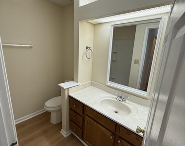 4663 Pine Trace Drive - Photo Thumbnail 11