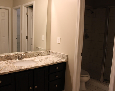252 E Davie Street - Photo Thumbnail 15