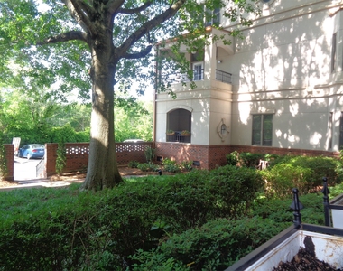 252 E Davie Street - Photo Thumbnail 18