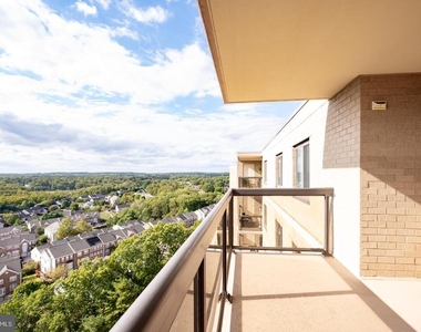 307 Yoakum Parkway - Photo Thumbnail 39