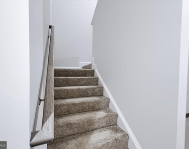 3529 Stella Blue Drive - Photo Thumbnail 47