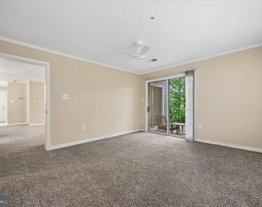 20404 Shore Harbour Drive - Photo Thumbnail 16