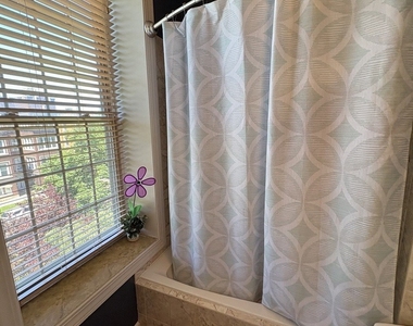 6435 S Kenwood Avenue - Photo Thumbnail 25