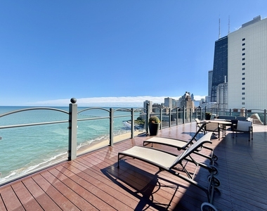1150 N Lake Shore Drive - Photo Thumbnail 18