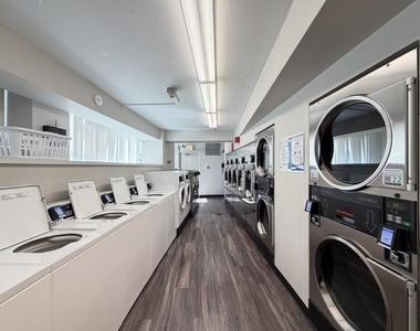 1150 N Lake Shore Drive - Photo Thumbnail 19
