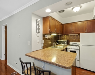 3620 N Pine Grove Avenue - Photo Thumbnail 4