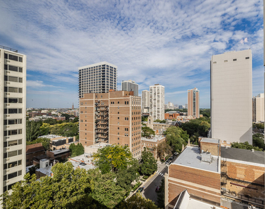 1339 N Dearborn Street - Photo Thumbnail 17
