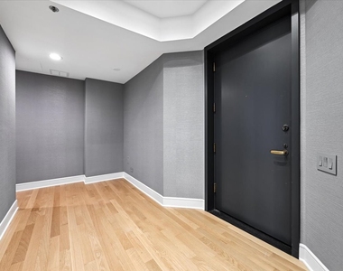 950 N Michigan Avenue - Photo Thumbnail 10