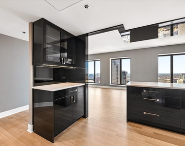 950 N Michigan Avenue - Photo Thumbnail 9