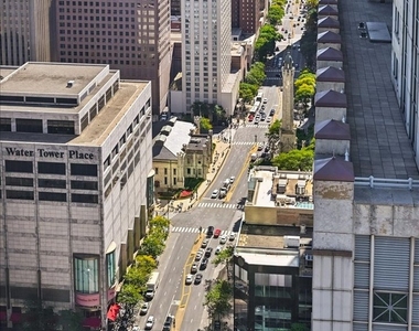 950 N Michigan Avenue - Photo Thumbnail 12