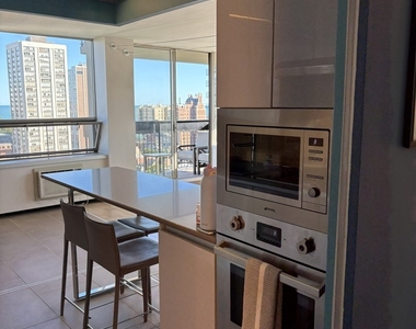 1360 N Sandburg Terrace - Photo Thumbnail 3