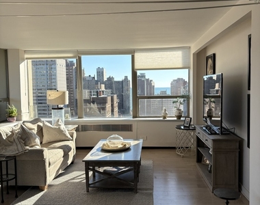 1360 N Sandburg Terrace - Photo Thumbnail 8