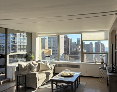 1360 N Sandburg Terrace - Photo Thumbnail 2