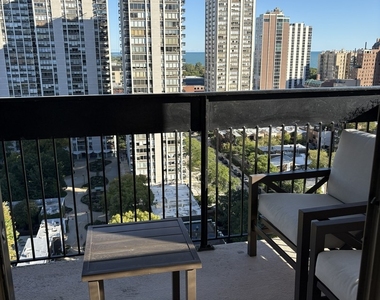 1360 N Sandburg Terrace - Photo Thumbnail 10