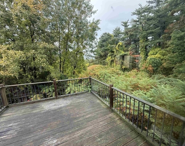 206 Chester - Photo Thumbnail 1