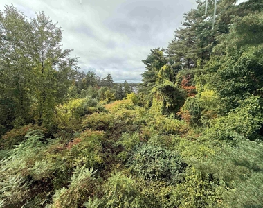 206 Chester - Photo Thumbnail 17