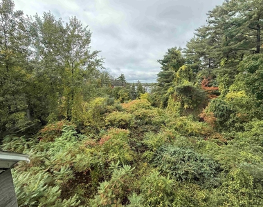 206 Chester - Photo Thumbnail 14