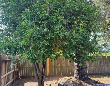 9911 Orangevale Drive - Photo Thumbnail 9