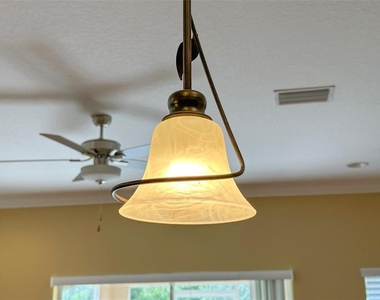 11801 Castine Street - Photo Thumbnail 20