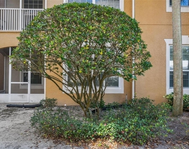 2484 San Tecla Street - Photo Thumbnail 23