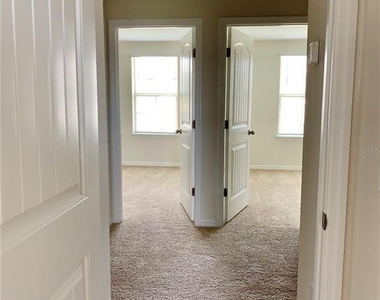10094 Tawny Meadow Alley - Photo Thumbnail 10