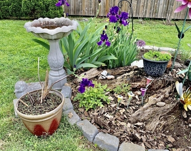 140 1/2 Stuart Avenue - Photo Thumbnail 27