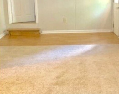 13 Tuxedo Avenue - Photo Thumbnail 18
