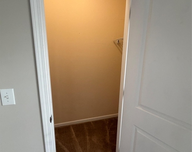 10968 Cedar Walk Lane - Photo Thumbnail 16