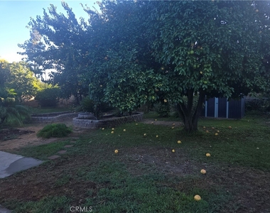955 Le Conte Drive - Photo Thumbnail 13