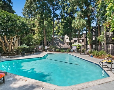 7742 Redlands Street - Photo Thumbnail 20