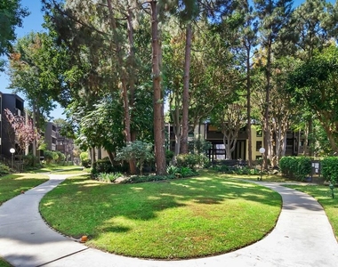 7742 Redlands Street - Photo Thumbnail 23