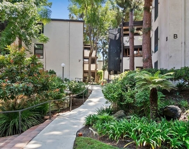 7742 Redlands Street - Photo Thumbnail 24