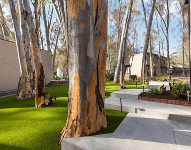 24946 Ravenswood - Photo Thumbnail 60