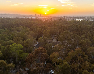 24946 Ravenswood - Photo Thumbnail 10