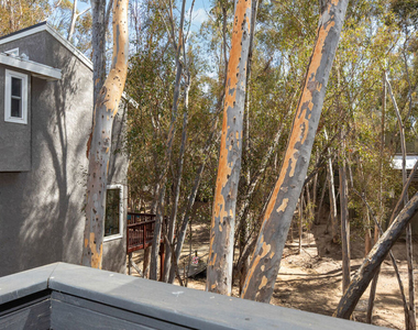 24946 Ravenswood - Photo Thumbnail 24