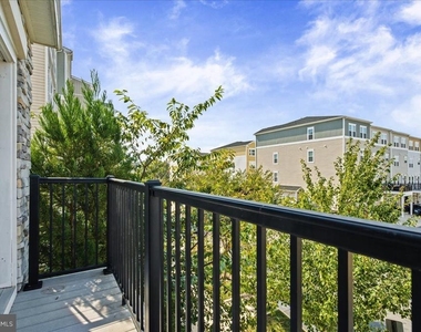 24584 Rosebay Terrace - Photo Thumbnail 13