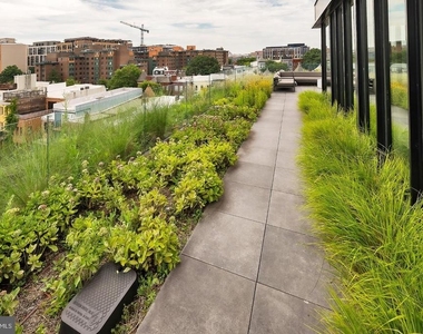 57 N Street Nw - Photo Thumbnail 39