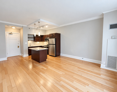3170 N Sheridan Road - Photo Thumbnail 10