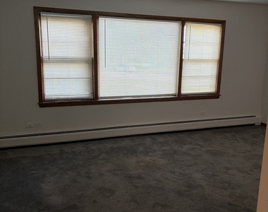 10520 S Austin Avenue - Photo Thumbnail 9