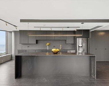505 N Lake Shore Drive - Photo Thumbnail 6